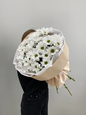 Моно букет из Ромашковых хризантем (7шт)