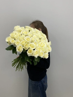 Белые розы Аваланж  51шт
